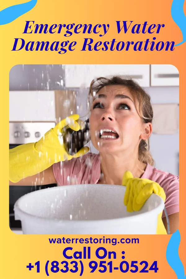 Emergency Water Damage Restoration in Bangor, WI