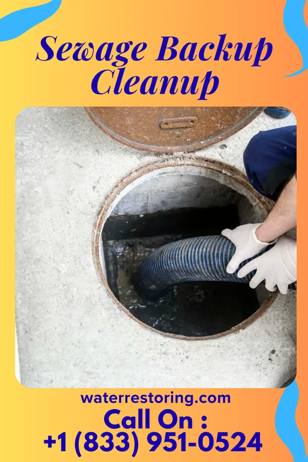 Sewage Backup Cleanup in Bangor, WI